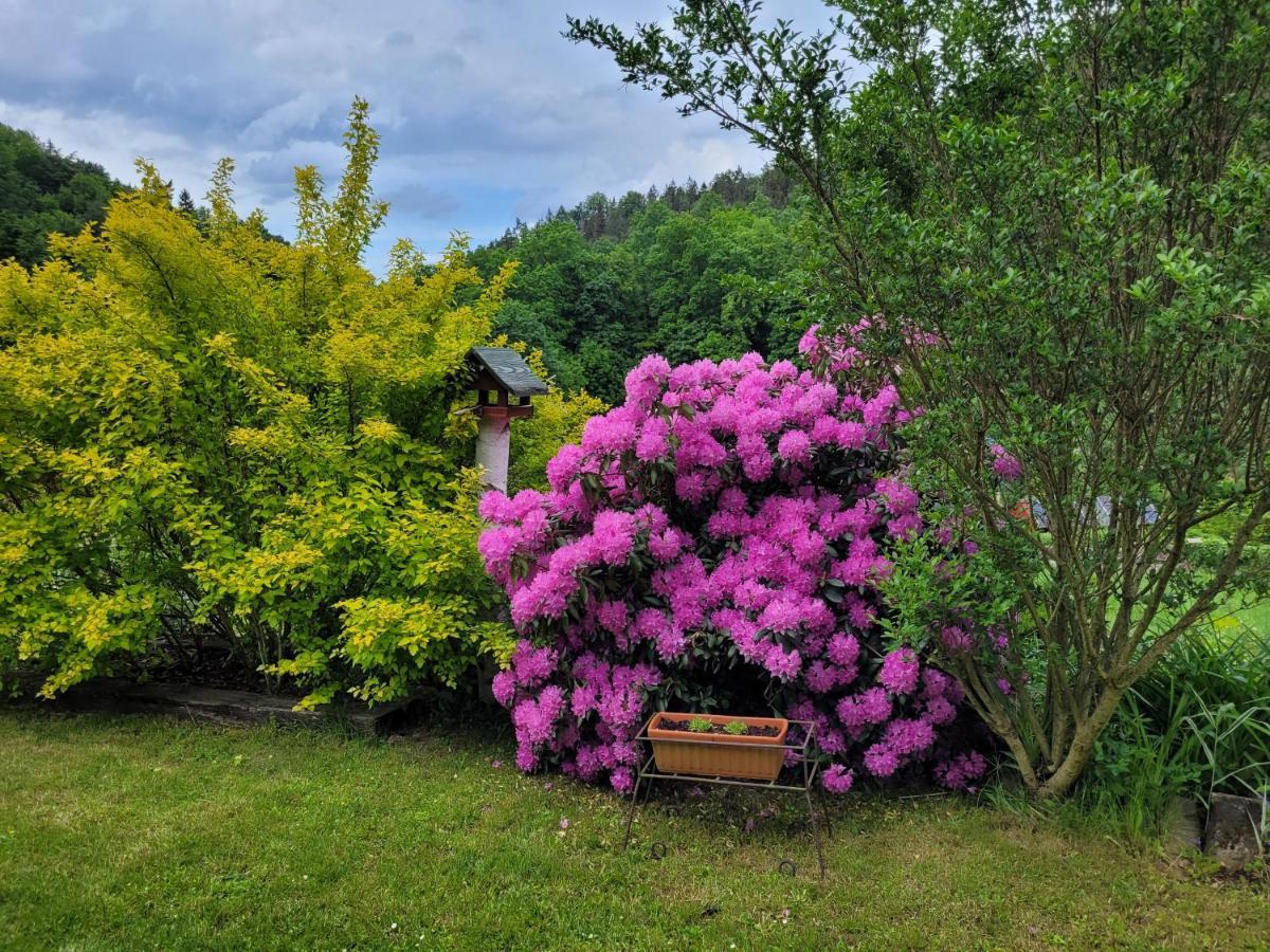 Dom W Gorach Sowich Niedzwiedzia Gawra, Holiday home *