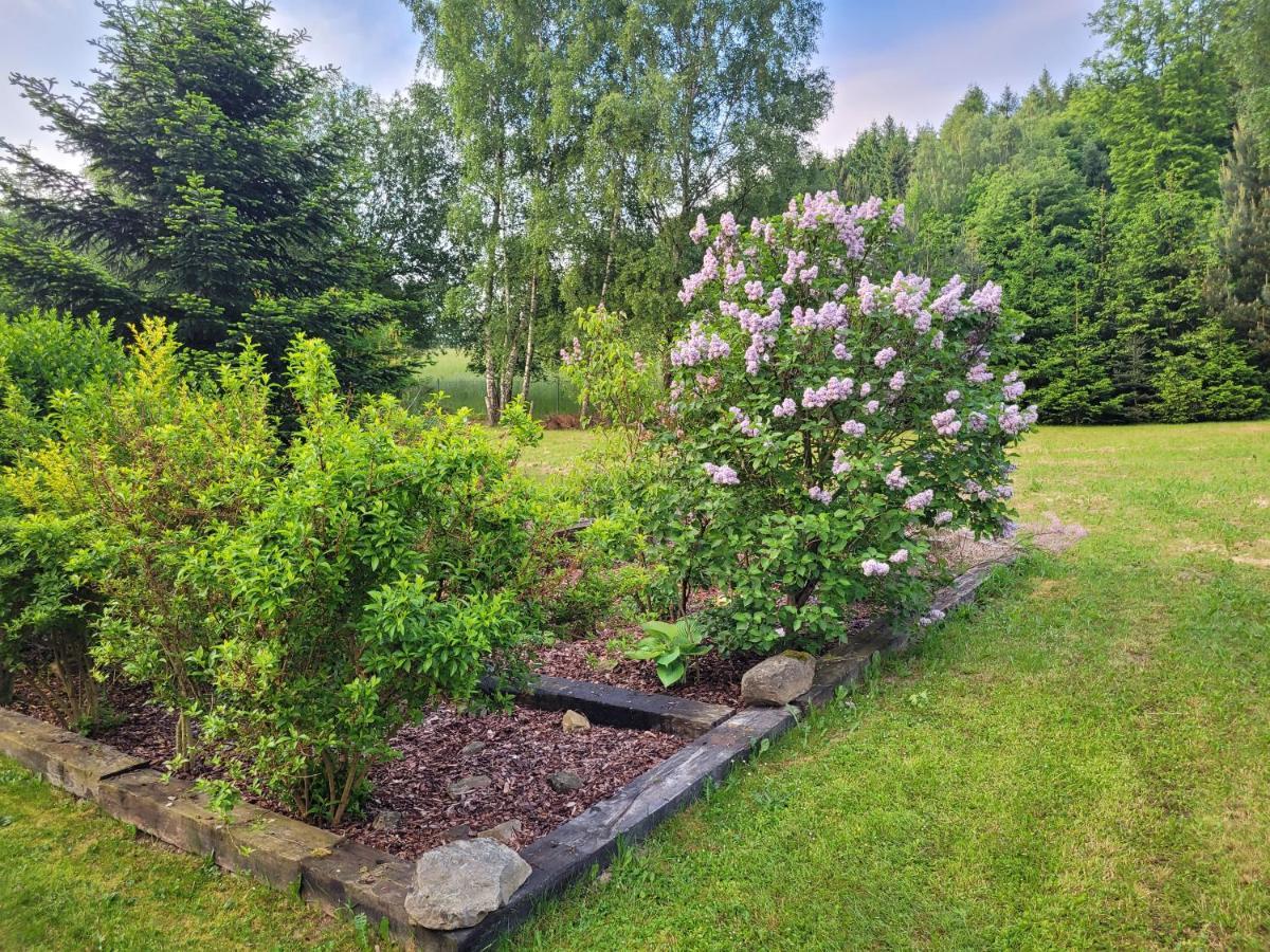 Holiday home Dom W Gorach Sowich Niedzwiedzia Gawra, Michalkowa