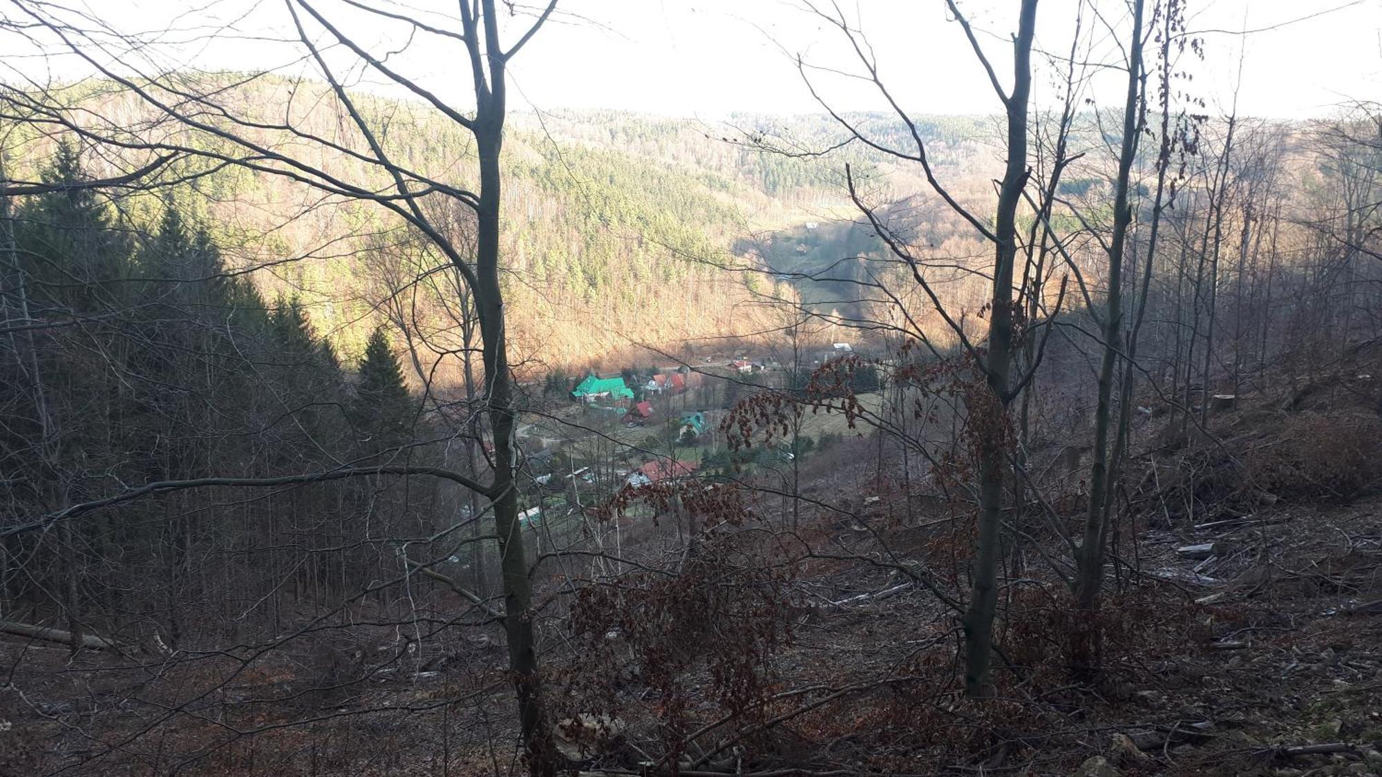 Holiday home Dom W Gorach Sowich Niedzwiedzia Gawra, *