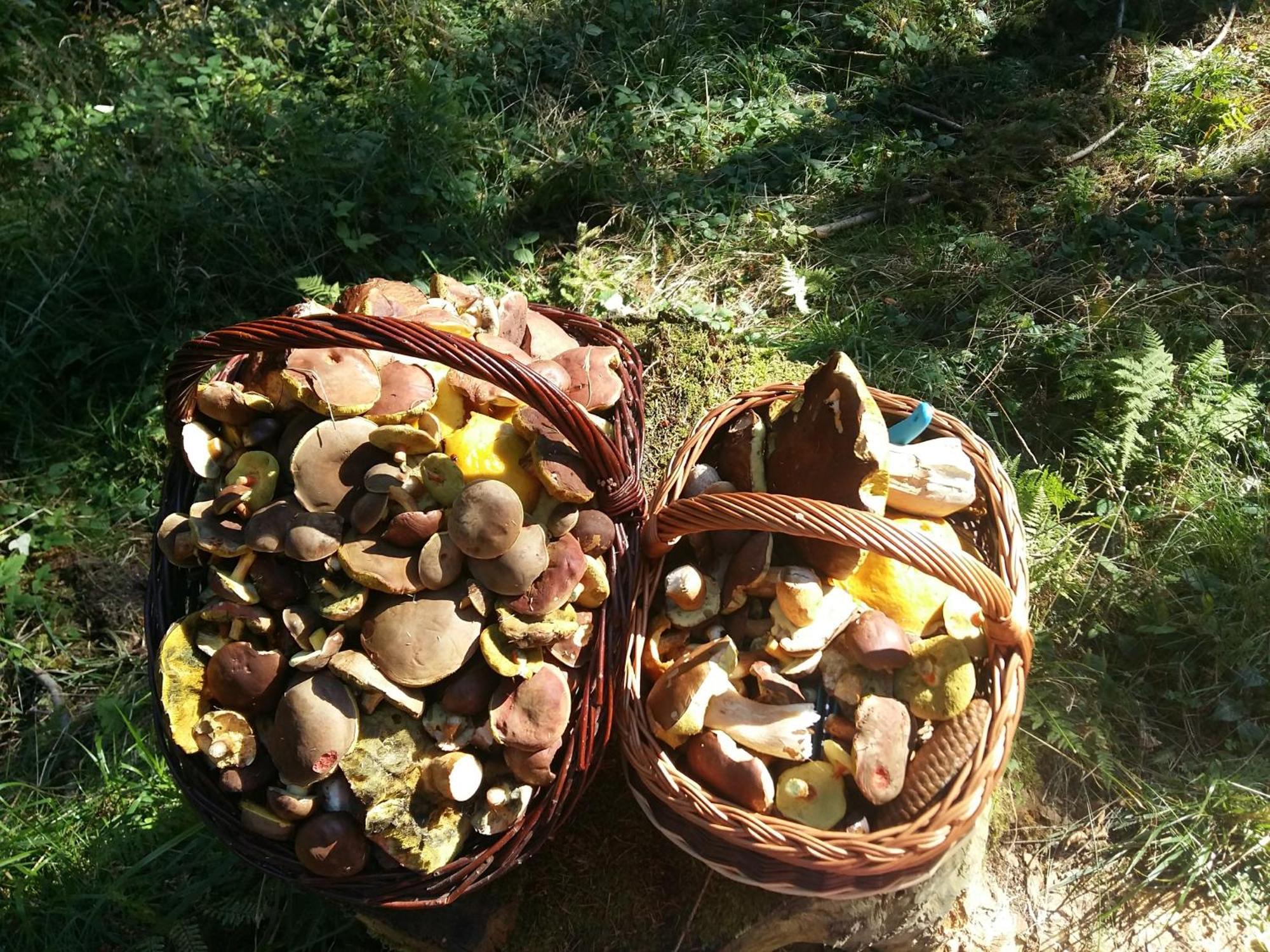 Dom W Gorach Sowich Niedzwiedzia Gawra, Michalkowa