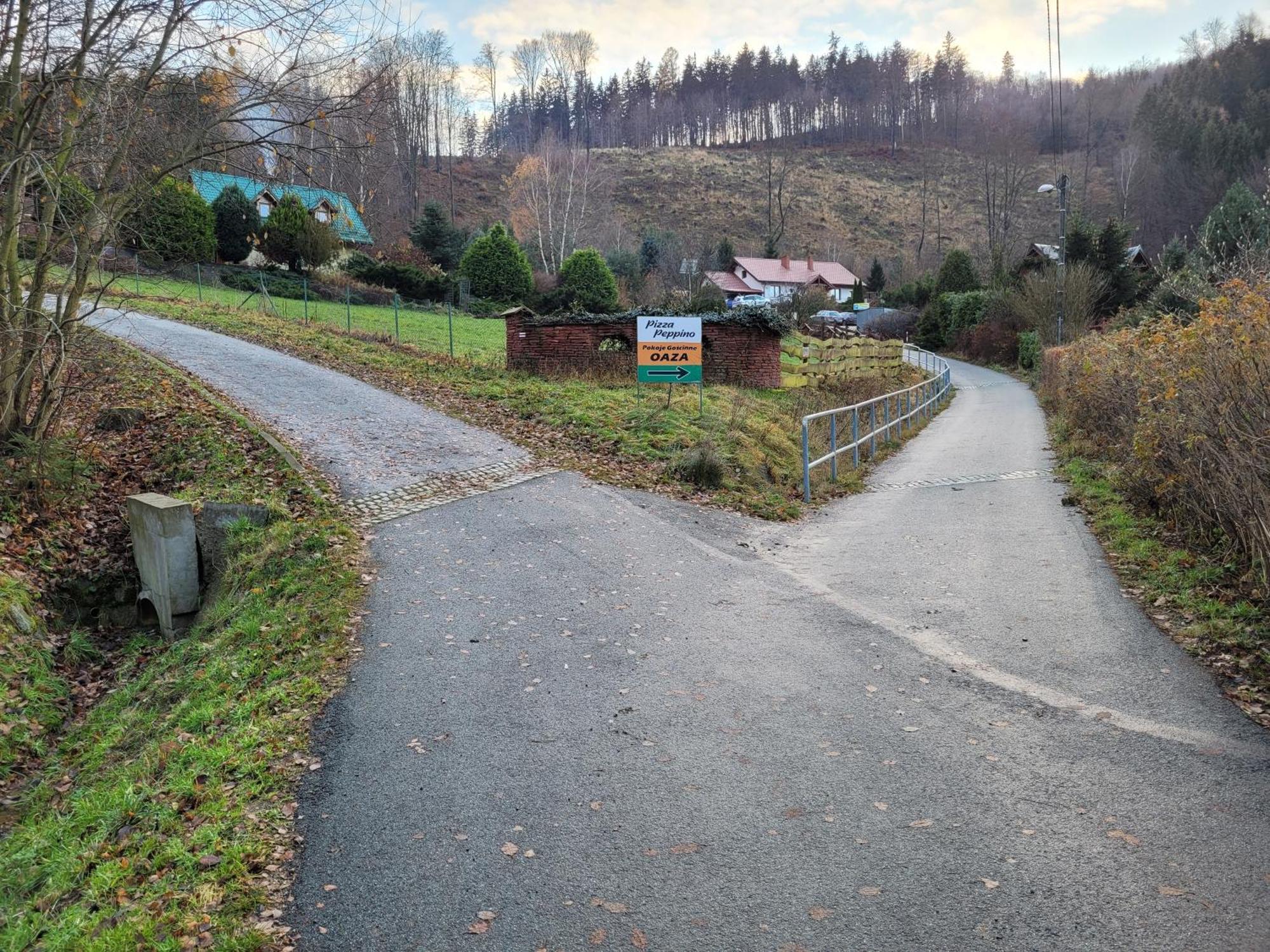 Dom W Gorach Sowich Niedzwiedzia Gawra, Holiday home