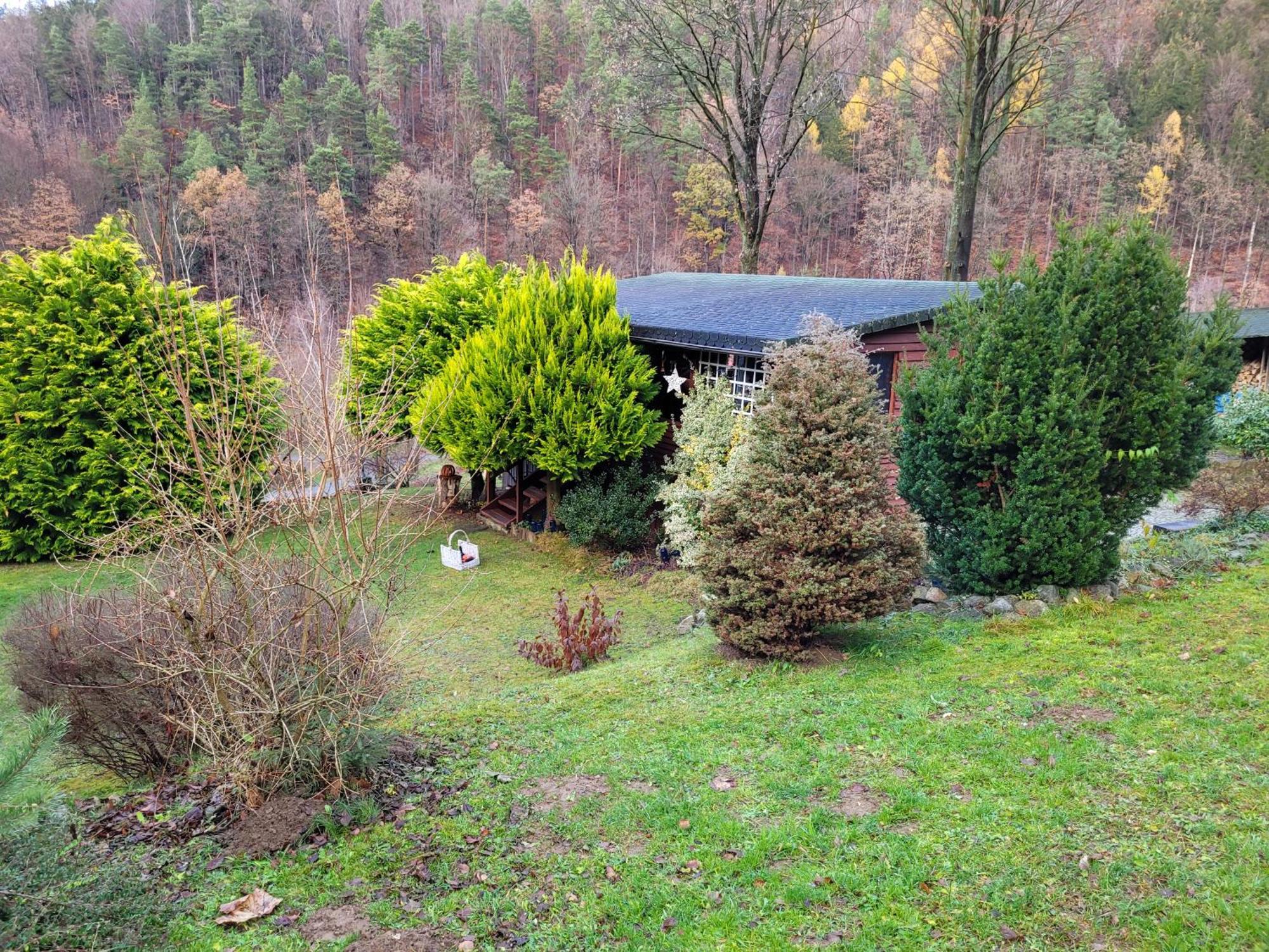 Dom W Gorach Sowich Niedzwiedzia Gawra, Holiday home Michalkowa
