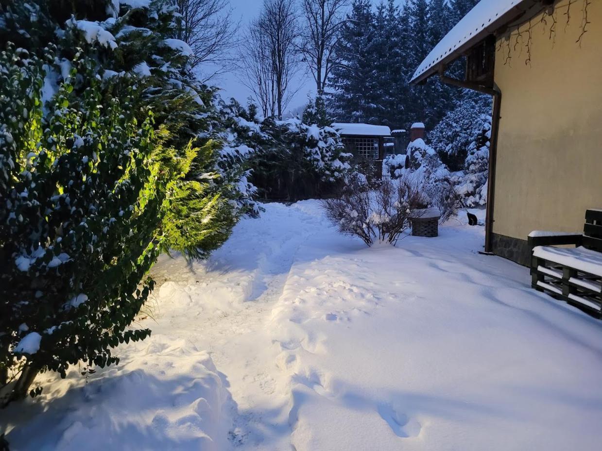 Dom W Gorach Sowich Niedzwiedzia Gawra, *